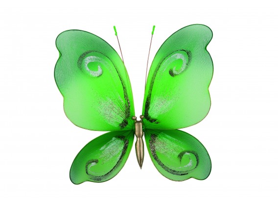 Motyl ozdobny zielony